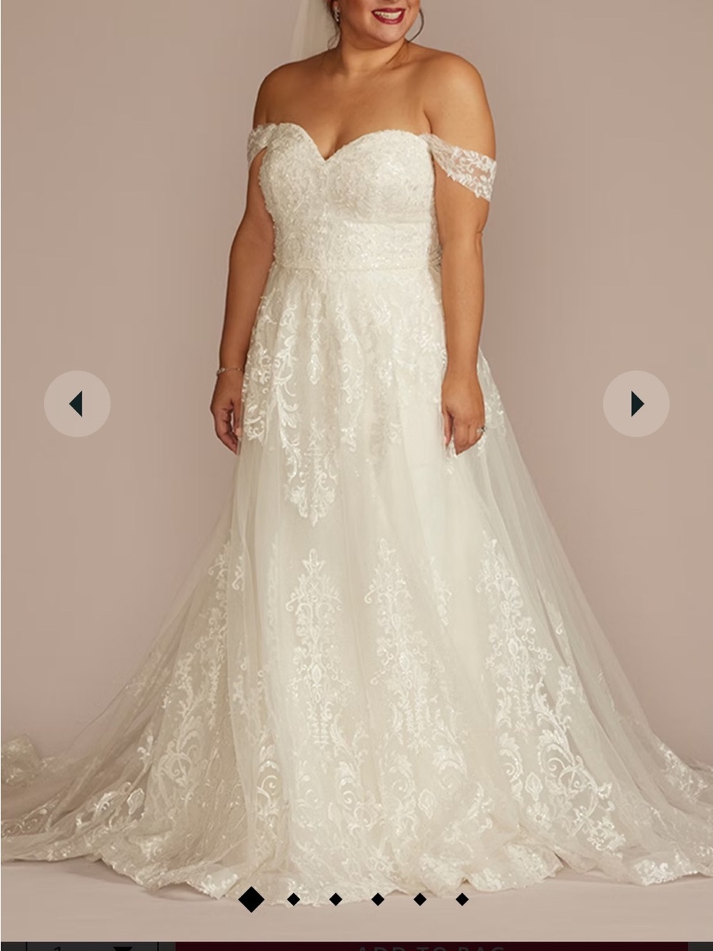 David's Bridal Off-the-Shoulder Lace A-Line Wedding Gown in Ivory